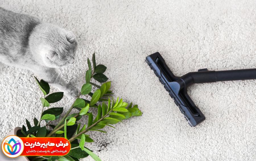پاک کردن موی سگ از فرش + جمع کردن مو حیوانات خانگی از روی فرش،7 راه حل 1