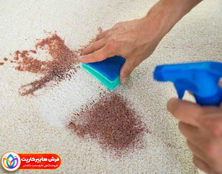 روش پاک کردن لکه از روی فرش + بهترین لکه بر فرش| 12 راهکار 14