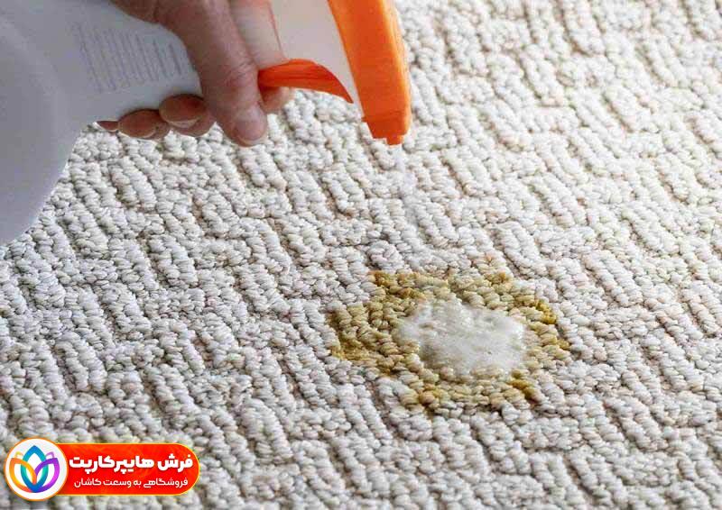 روش پاک کردن لکه از روی فرش + بهترین لکه بر فرش| 12 راهکار 20