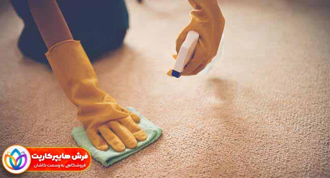 روش پاک کردن لکه از روی فرش + بهترین لکه بر فرش| 12 راهکار 1