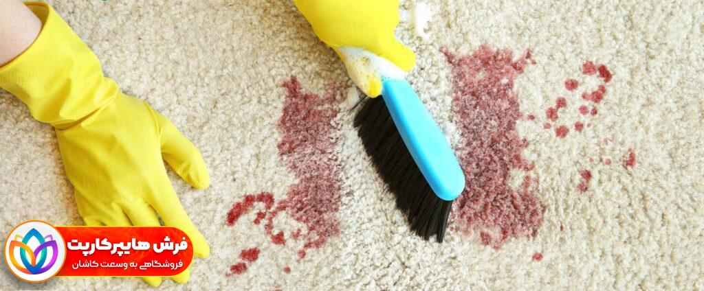روش پاک کردن لکه از روی فرش + بهترین لکه بر فرش| 12 راهکار 18